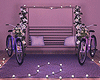 Photoroom Romantic Bike