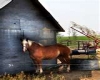 Horse by barn