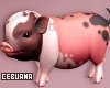 Cute Spotted Piglet