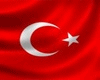 Ces-Turkısh Flag