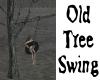 (N) Old Tree Swing