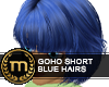 SIB - Goho Blue Short