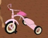 (W) Pink Tricycle