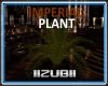 IMPERIAL Plant