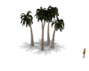 Animated Palms Group
