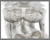 Skellet Body