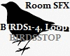 BIRDS Room SFX