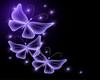purple butterflys