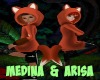 Medina & Arisa Foxes