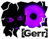 [Gerr]Purplekin Eyes