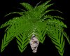 Animated Palm Small Tree