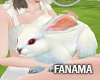 Rabbit 3 Ani |FM622