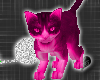 *-*Cute Pink Cat Pet