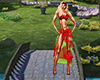 POF Animated