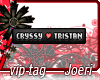 j| Cryssy  Tristan-