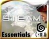 Essentials - Steam