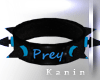 Prey Collar v.5