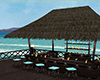 Beach Hut Tiki Bar