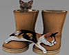 Kittens in Uug Boots