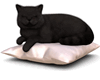 Cat Pillow Radio