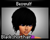 [B] Black Short Hair F