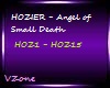 HOZIER-Angel of Sm Death