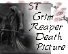 ST}Grim Reaper Death Pic