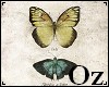 [Oz] - Butterfly Pict 2