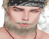 BLOND BEARD 4
