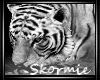 SK+Tiger1