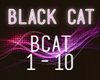 BLACK CAT Pt1