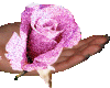 rose sticker