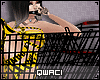 + Trolley Avi +