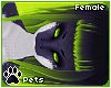 [Pets] Esme | hair v4