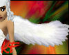 Featherd wings Angel Whi