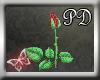 [PD] Red Rose