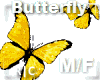 R|C Gold Butterfly M/F