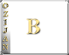 oziweegold letters Cap B