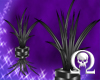 Black Latex Plant v1