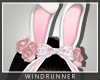WR! Blossom Bunny