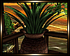:mo: TROPIC POTTED PLANT
