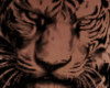 Blazing Tiger L Side Tat
