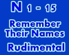 Rudimental-Remember Thei