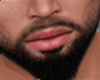 Perfect Beard
