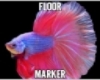 fish floor marker2