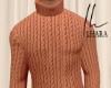 Fall Sweater Brown