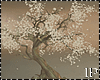 Dandelion Animated Tree