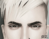 rz. Drake Head