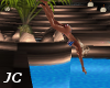 JC~ Dive In Your Pool