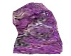 kiss on purple rock